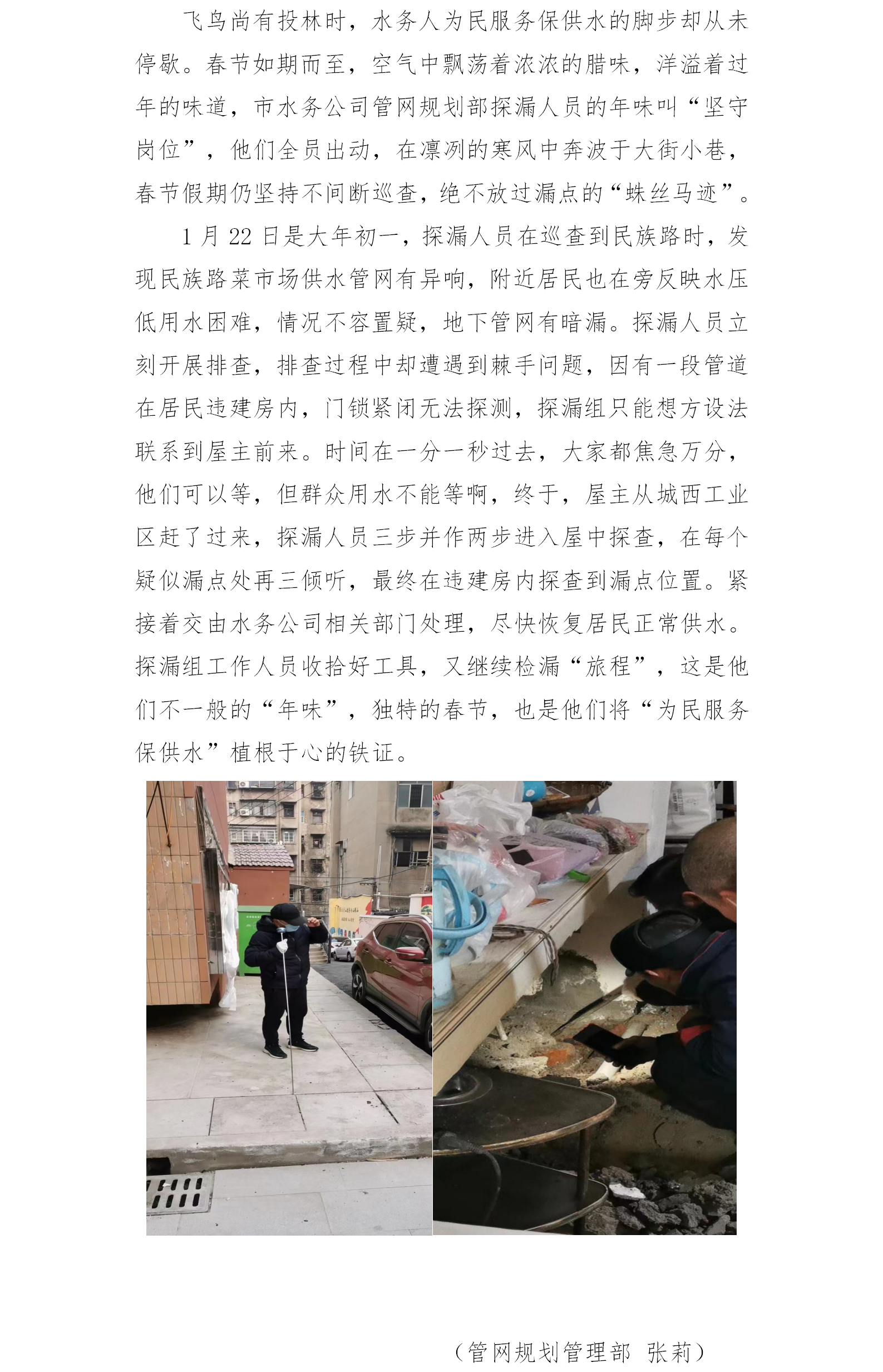 DB试玩