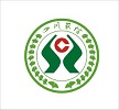 DB试玩